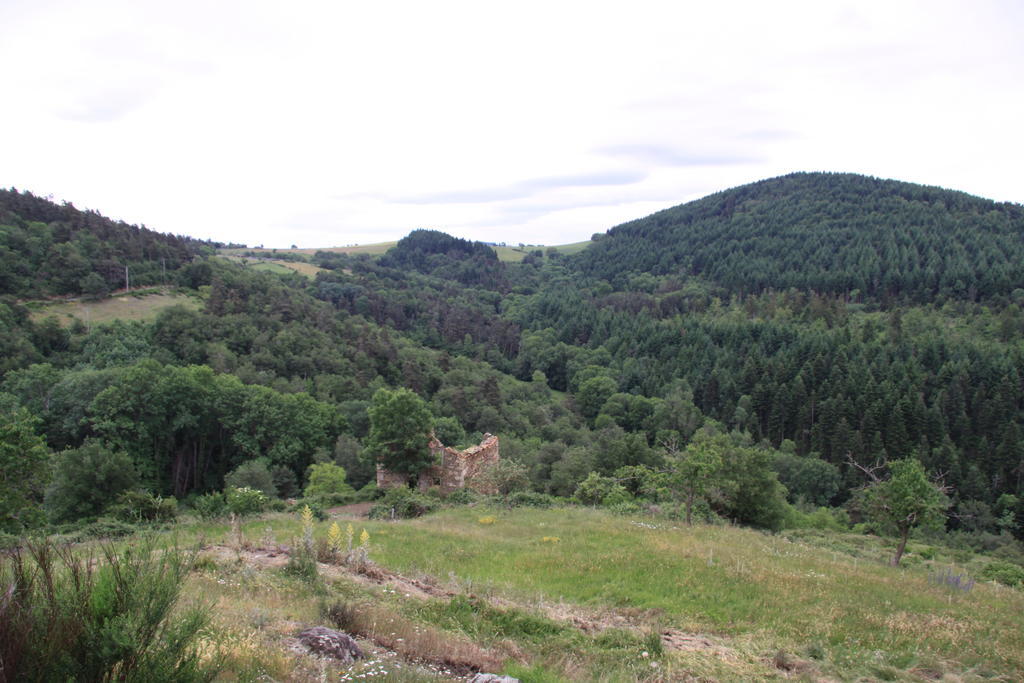 Gite Chez Coste Gilles Saint-Privat-du-Dragon Exterior foto